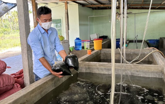 Rong nho tách nước Phúc Khang: Sản phẩm công nghiệp nông thôn tiêu biểu nhiều triển vọng của Phú Yên