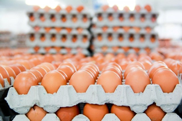 Bộ Công Thương quy định hạn ngạch thuế quan nhập khẩu mặt hàng muối, trứng gia cầm năm 2024