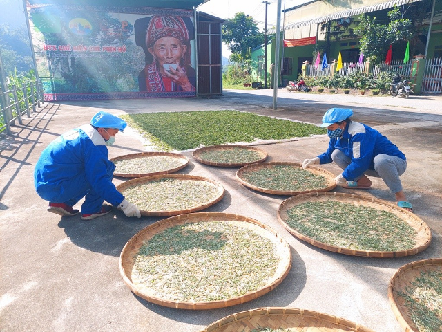 Chứng nhận OCOP “Giấy thông hành” cho nông sản Hà Giang
