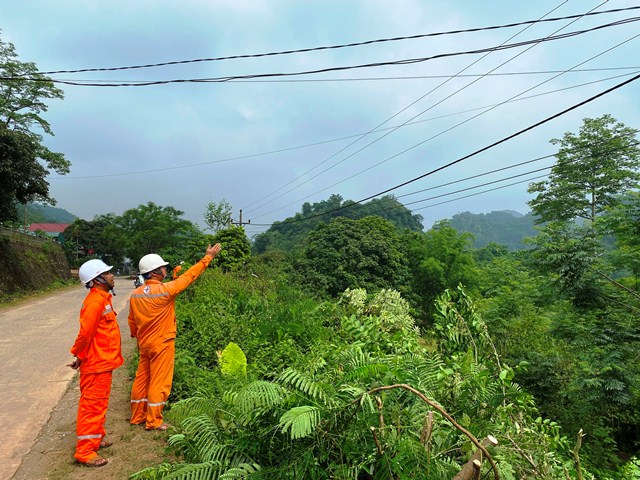 Điện lực Mai Châu (PC Hòa Bình) đảm bảo an toàn hành lang lưới điện mùa mưa bão