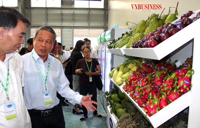 Tạo ‘bước nhảy’ cho ngành hàng rau quả Việt tiến lên cường quốc xuất khẩu