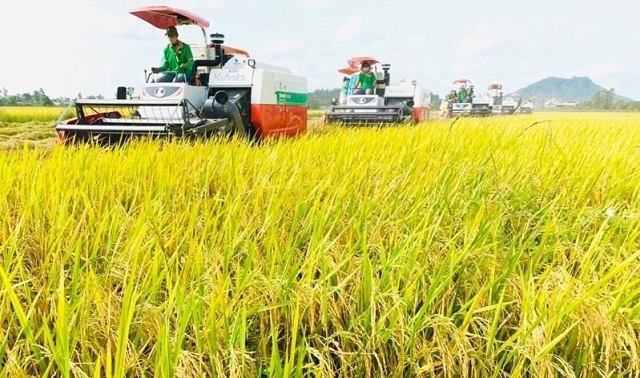 Xuất khẩu gạo năm 2023 dự kiến đạt 8 triệu tấn