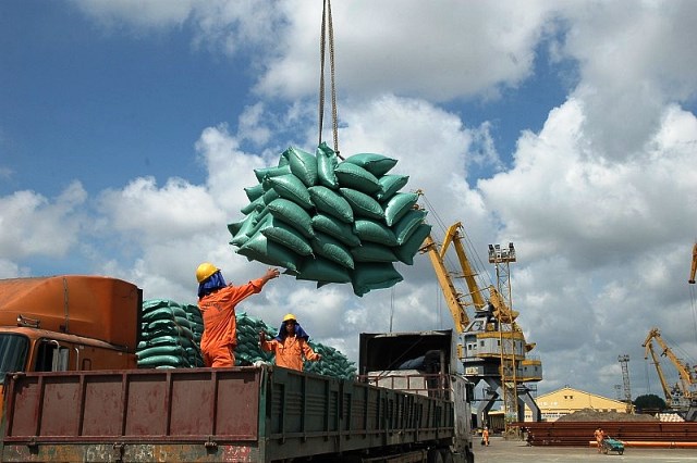 Giá gạo xuất khẩu tiếp tục tăng cao, đạt mức 628 USD/tấn