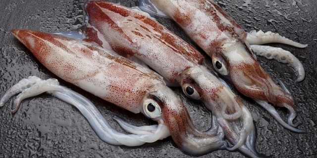 Xuất khẩu mực, bạch tuộc: Điểm sáng từ thị trường Nhật Bản
