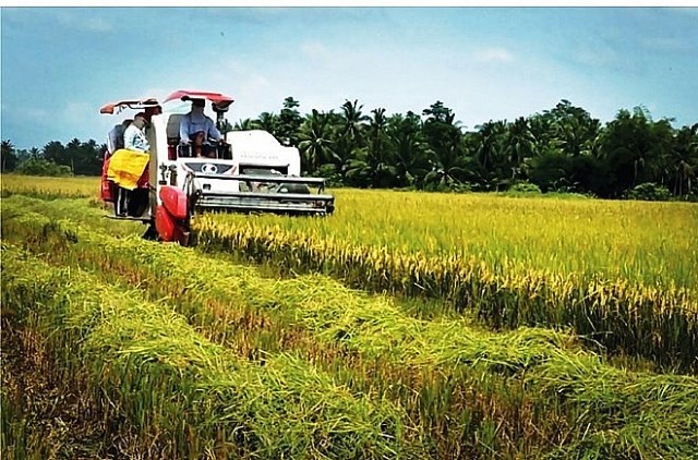 Philippines vẫn là thị trường lớn nhất của gạo Việt trong năm 2023