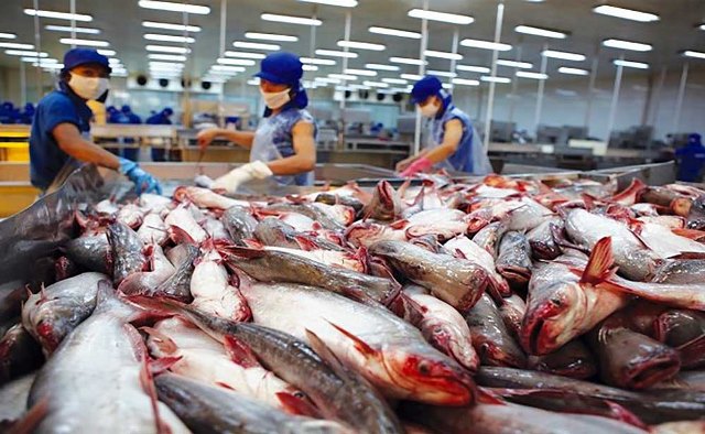 Xuất khẩu cá tra Việt Nam sang Đức tiếp tục tăng trưởng