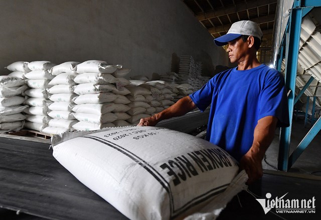 Thủ tướng yêu cầu thúc đẩy sản xuất và xuất khẩu gạo
