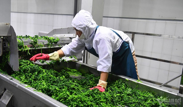 Xuất khẩu 26 tỷ USD, Việt Nam là trung tâm chế biến sâu của nông nghiệp thế giới