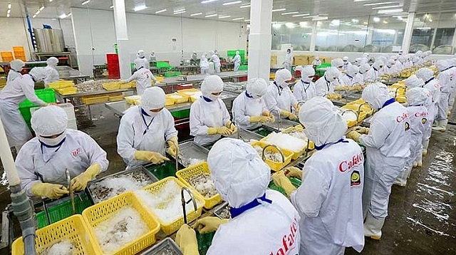 CPTPP là nhóm thị trường có tỷ trọng tăng trưởng xuất khẩu thủy sản lớn thứ 2 của Việt Nam