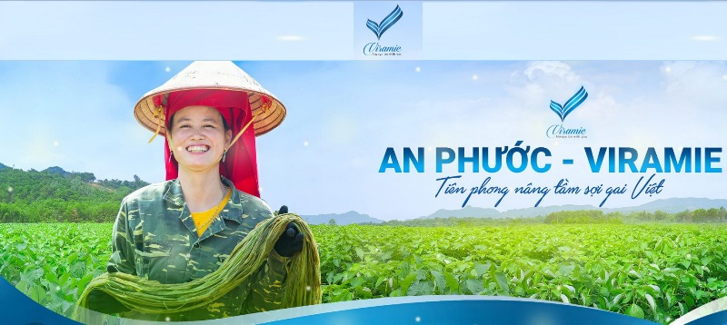 An Phước – Viramie: Chủ động được vùng nguyên liệu Dệt May, với 6.000ha cây gai trên khắp lãnh thổ Việt Nam