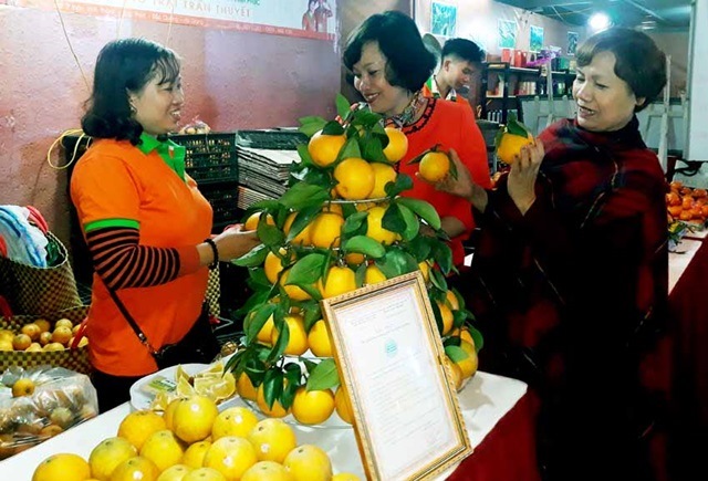 Cam sành và sản phẩm OCOP Hà Giang 'đổ bộ' thị trường Hà Nội