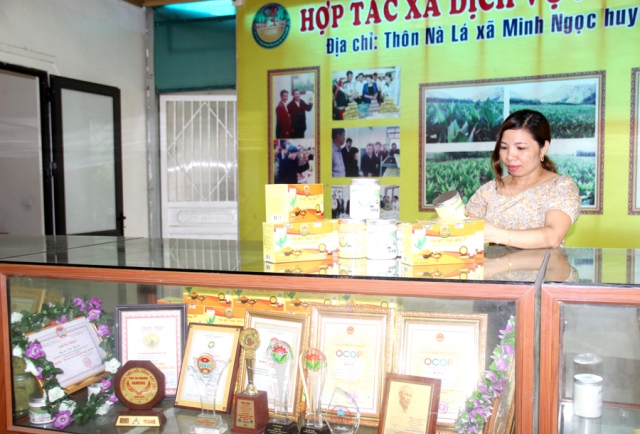 Hà Giang: Tinh bột nghệ - Sản phẩm OCOP 4 sao đưa huyện Bắc Mê vươn ra thế giới