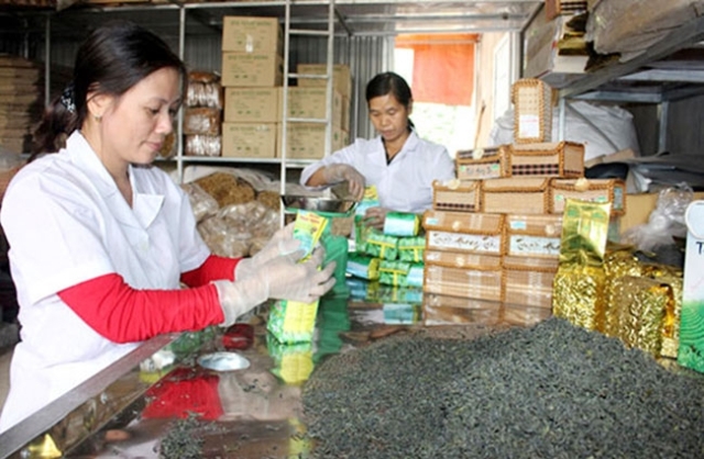 Thái Nguyên thúc đẩy phát triển kinh tế tập thể