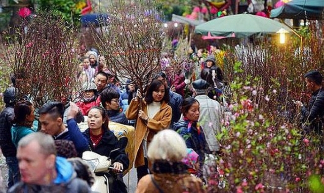 Hà Nội tổ chức 64 điểm chợ Hoa Xuân phục vụ Tết Nguyên đán Kỷ Hợi năm 2019