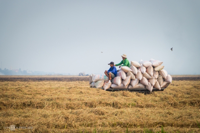 Loạt nông sản Việt chinh phục thị trường châu Âu