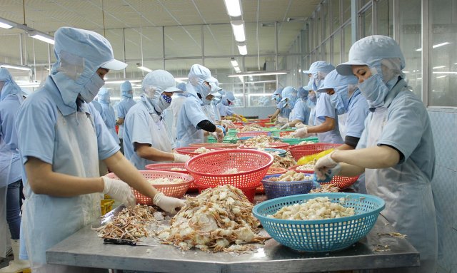 Phú Yên: Hỗ trợ doanh nghiệp sản xuất đồ hộp thủy sản