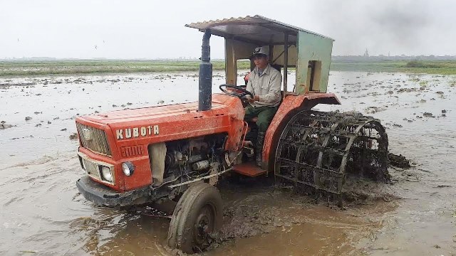 Huyện Thái Thụy (Thái Bình): Hướng đi mới cho phát triển công nghiệp nông thôn