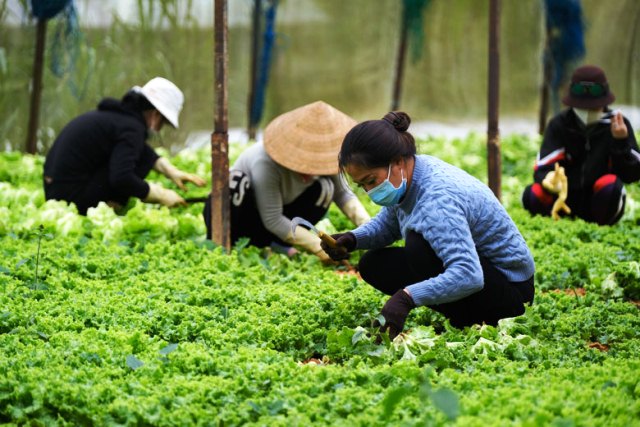 Khuyến công Lâm Đồng: Đồng hành cùng cơ sở công nghiệp nông thôn vượt qua đại dịch Covid-19