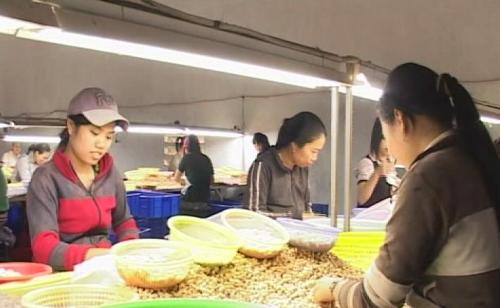 Khánh Hòa: Hỗ trợ gần 900 triệu cho công tác khuyến công địa phương
