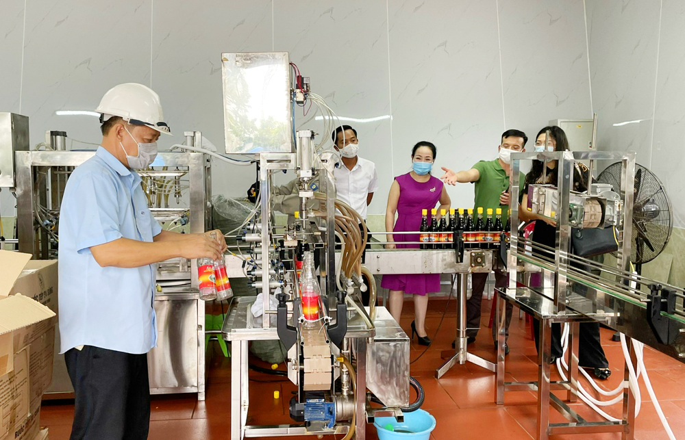 Quảng Ninh: Nguồn vốn khuyến công giúp doanh nghiệp OCOP nâng cao năng lực sản xuất