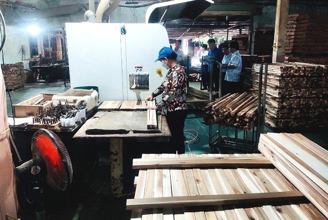 Bình Định: Nghiệm thu đề án “Hỗ trợ ứng dụng máy móc thiết bị tiên tiến trong chế biến gỗ”