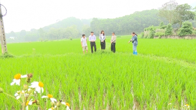 Khuyến công Thái Nguyên tạo đà cho ngành chế biến nông sản huyện  Phú Lương vươn xa