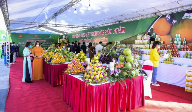 Bắc Giang: Kết nối tiêu thụ nông sản chủ lực