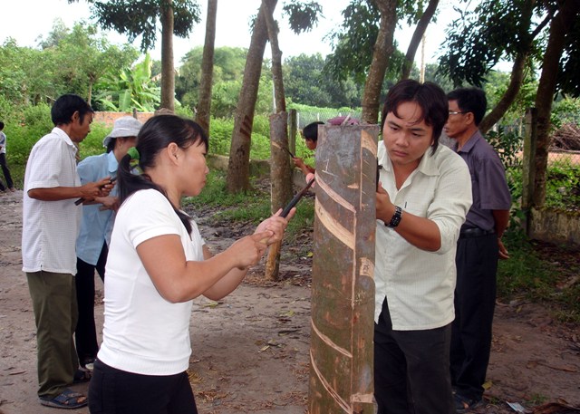 Tây Ninh:  Các doanh nghiệp công nghiệp nông thôn được hưởng lợi từ nguồn kinh phí khuyến công địa phương