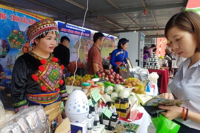 Hải Dương: Khai mạc Hội chợ làng nghề và các sản phẩm OCOP Việt Nam 2019