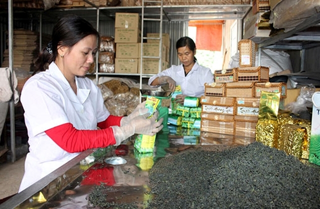 Thái Nguyên:  Công tác khuyến công đã hỗ trợ thiết thực cho các doanh nghiệp