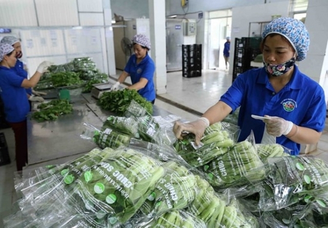Hình thành mối liên kết chặt chẽ sản xuất xanh - phân phối xanh - tiêu dùng xanh