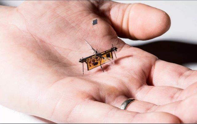 RoboFLy: Robot ruồi siêu nhỏ lấy năng lượng từ laser