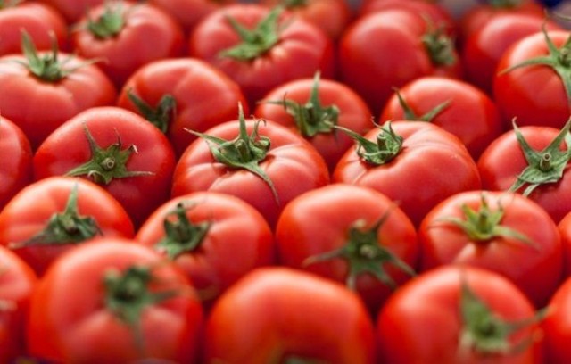 Thương mại hóa cà chua - thực phẩm đầu tiên chỉnh sửa gen bằng công nghệ CRISPR