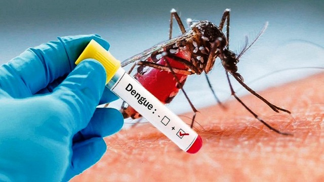 Công nghệ mới giúp chẩn đoán nhanh bệnh sốt xuất huyết
