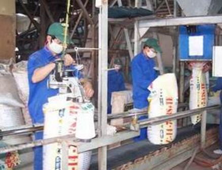 Triển khai dự án Nhà máy sản xuất phân bón supe phốt phát tại Nghệ An