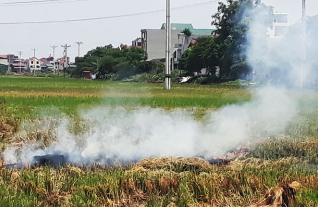 Hà Nội: Kiểm tra việc đốt rơm rạ gây ô nhiễm không khí