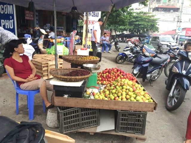 Hà Nội: Cảnh giác với đào, mận Trung Quốc “gắn mác” Việt