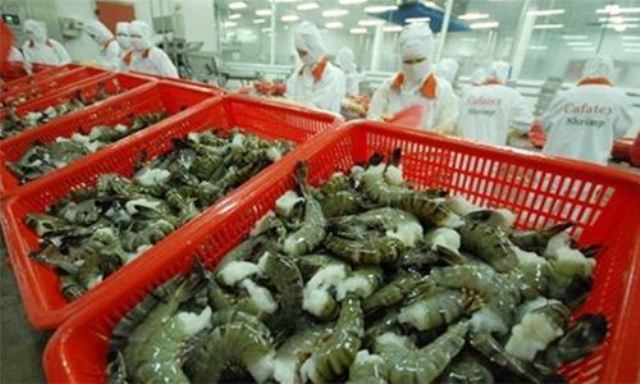 Úc cấm nhập khẩu tôm: Doanh nghiệp Việt thiệt hại nghiêm trọng