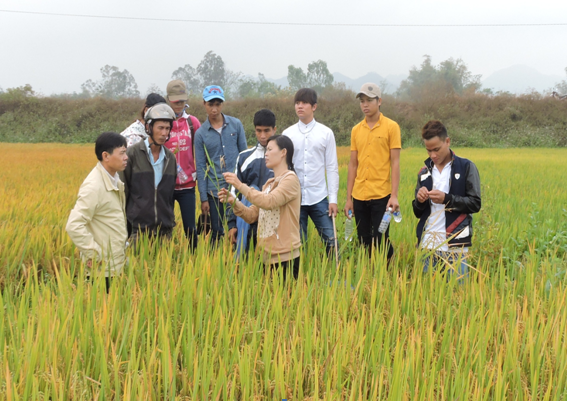 Trường Trung học Kinh tế - Kỹ thuật Bình Định: Đào tạo nguồn nhân lực góp phần phục vụ sự nghiệp nông nghiệp và phát triển nông thôn
