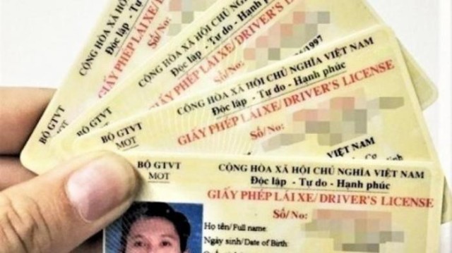 Nhiều website giả mạo thông tin giấy phép lái xe