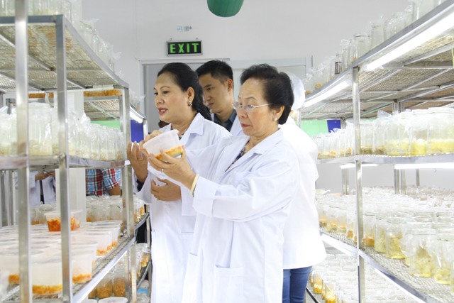 Hoàng Linh Biotech: Đưa đông trùng hạ thảo Việt vươn tầm thế giới