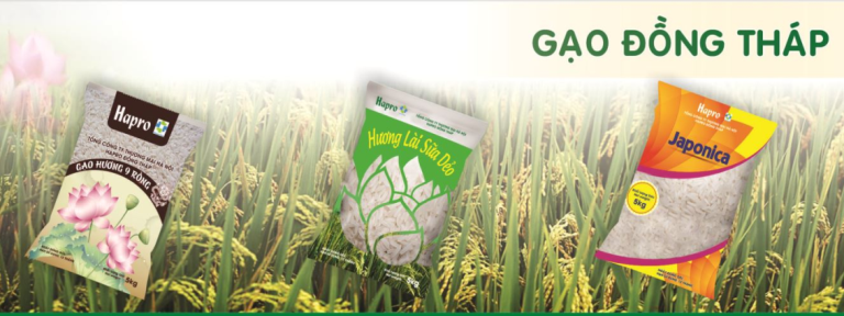 HAPRO: Chính thức giới thiệu sản phẩm Gạo “Hạt ngọc Đồng Tháp Mười” tới người tiêu dùng Thủ đô