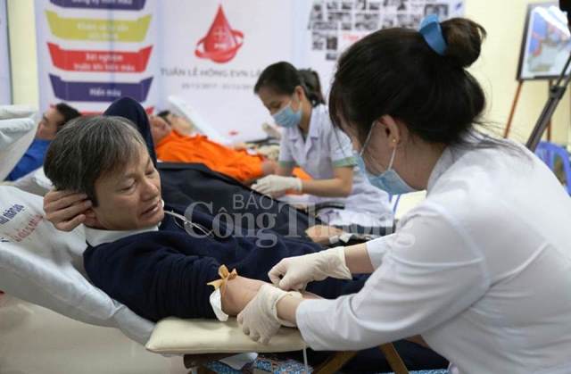 Nhiều tổng công ty tham gia 'Tuần lễ hồng EVN', đóng góp hàng ngàn đơn vị máu