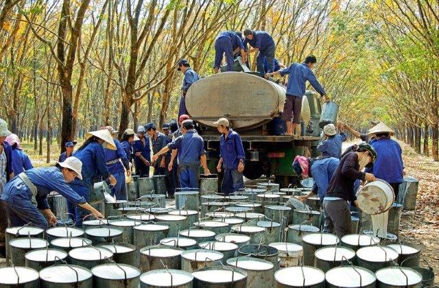 Công đoàn Cao su Việt Nam: Đảm bảo chăm lo đời sống người lao động
