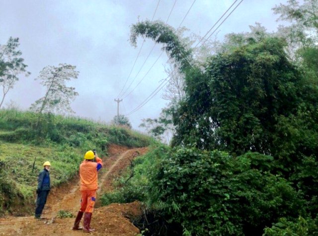 Điện lực Ngân Sơn (PC Bắc Kạn) đề nghị xử phạt hành vi vi phạm hành chính và truy thu sản lượng điện do người dân chặt cây đổ vào đường dây 35 kV gây sự cố