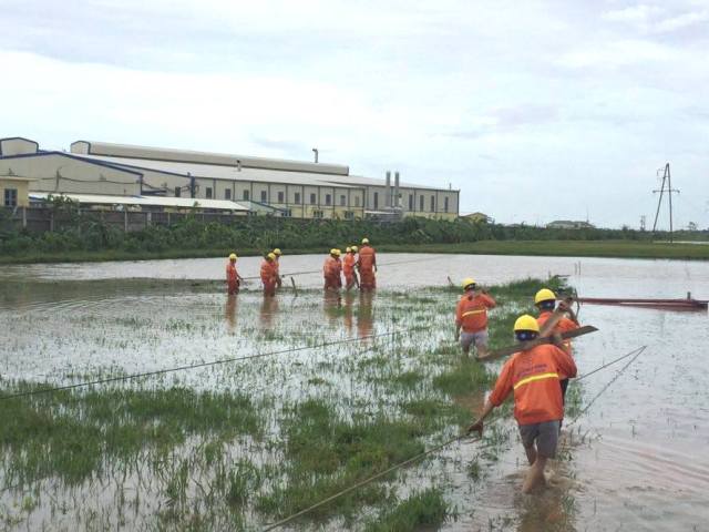 Điện lực Thái Bình: Nỗ lực vượt khó sau mưa bão