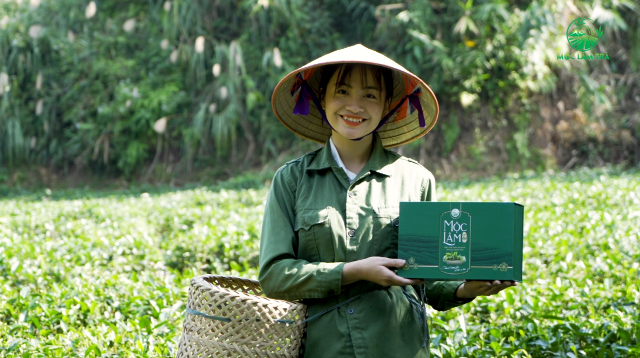 Mộc Lâm Trà: Đậm đà hương vị trà Thái Nguyên