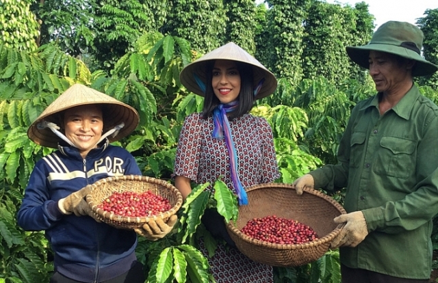 NESCAFÉ quảng bá cà phê Việt Nam ra thế giới