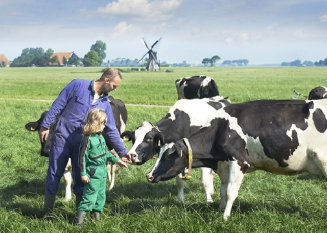 Cô Gái Hà Lan và 145 năm mang đến chất lượng chuẩn trong từng hộp sữa