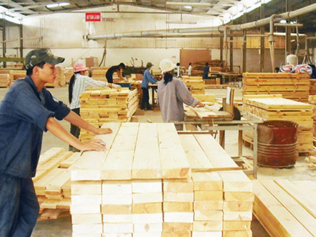 Hiệp hội Gỗ và Lâm sản Bình Định: Liên kết mở rộng thị trường, tạo sức bật mới cho ngành gỗ Bình Định